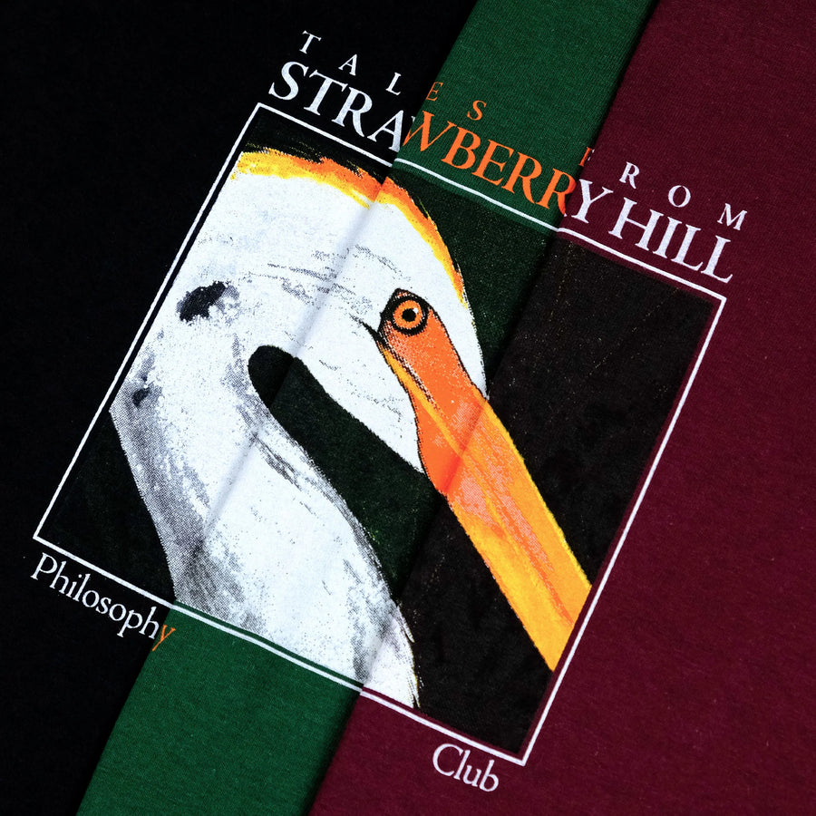Strawberry Hill Philosophy Club Tales Of Strawberry Hill T-Shirt - Burgundy